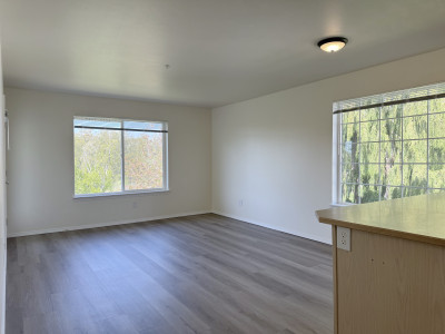 2 x 1.75, 919 sq.ft. with LVP Living Room