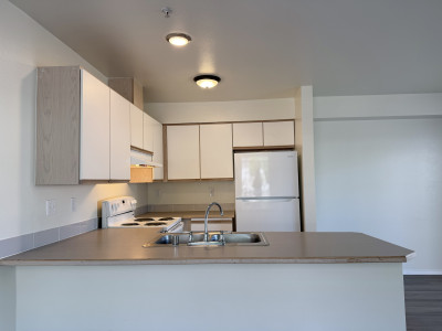 1 x 1, 696 sq.ft. with LVP Kitchen