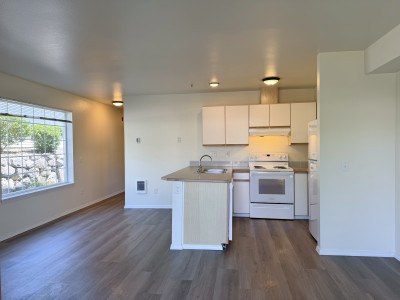 1 x 1, 696 sq.ft. with LVP Kitchen